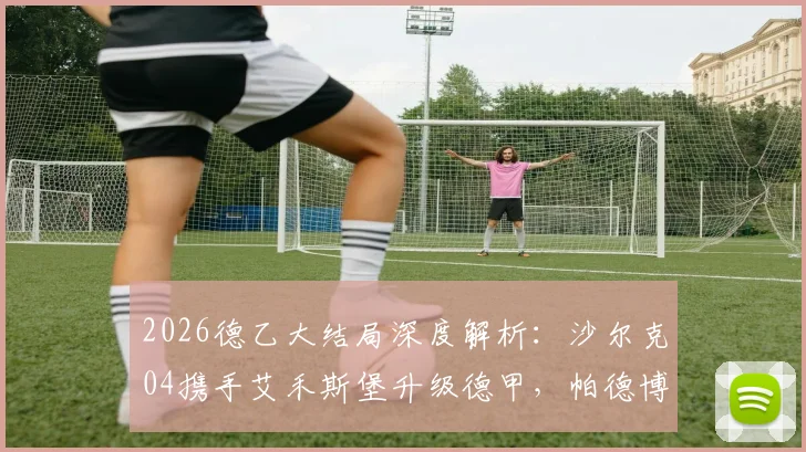 2026德乙大结局深度解析：沙尔克04携手艾禾斯堡升级德甲，帕德博恩附加赛命运如何？